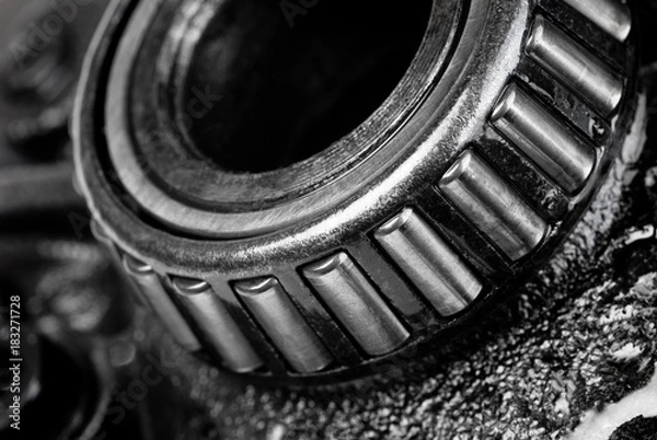 Obraz  bearing differential gear macro