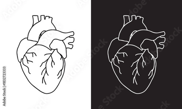 Fototapeta Illustration of the Human Heart in engraving technique with star rays. including labels for all the main structures. Hand drawn line art for tattoo, tee shirt and print design. eps file.