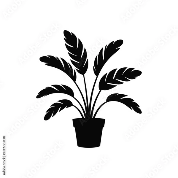 Obraz  potted Bird of Paradise plant against, silhouette vector design on a white background