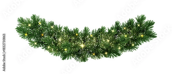 Obraz christmas tree branches isolated on white