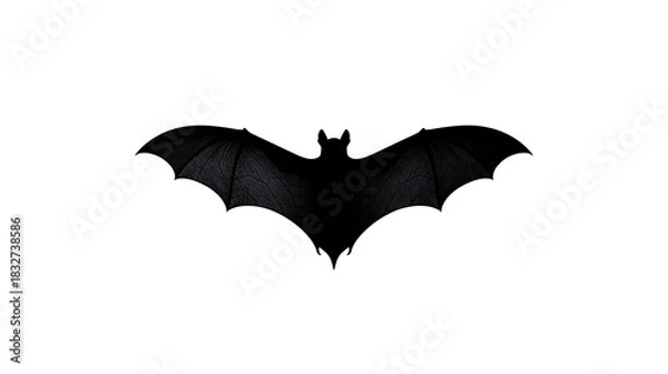 Obraz Silhouette of a black bat with wings spread wide on a white background