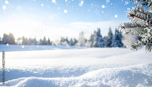 Fototapeta Paisaje de invierno con cielo azul, nieve y abetos nevados, concepto de frio invernal y bajada de temperaturas o navidad, con espacio para texto y publicidad