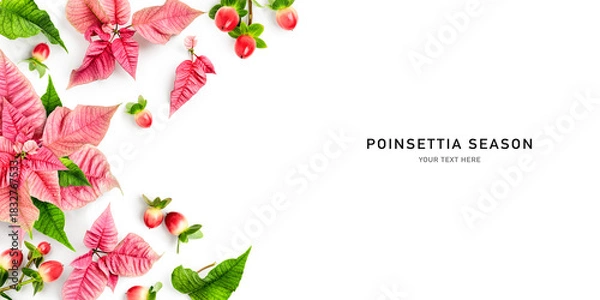 Obraz Pink poinsettia leaves and red berries photography isolated on white background