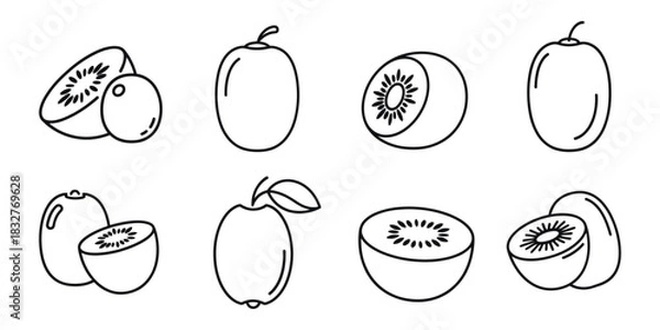 Fototapeta Kiwi line art vector illustration