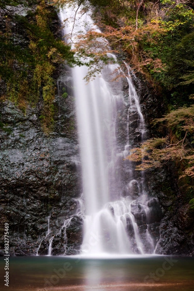 Obraz 箕面の滝の風景