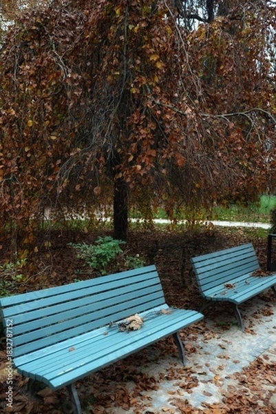 Fototapeta bench in autumn park