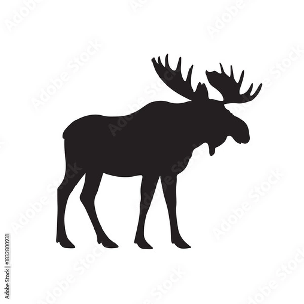 Fototapeta Black silhouette of a moose with large antlers on white background Keywords: moose, elk, deer