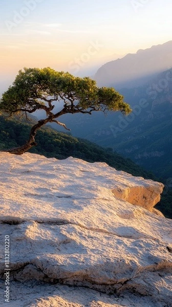 Obraz A lone tree grows on the edge of a cliff, overlooking a vast mountain range. The image is bathed in the warm light of the setting sun.