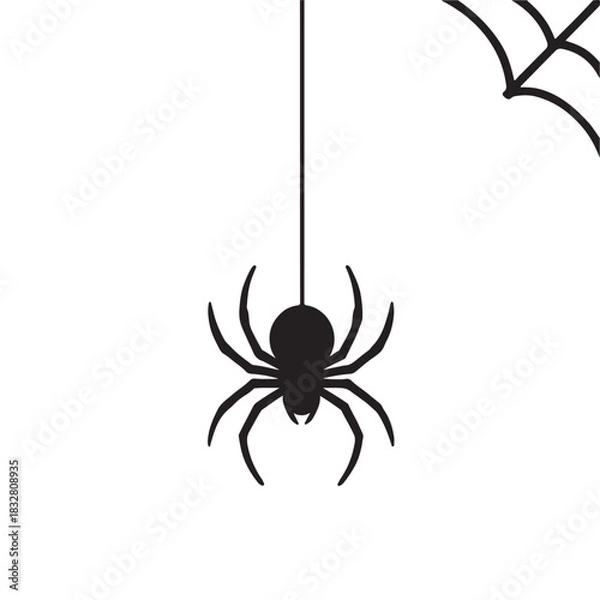 Fototapeta Spider Hanging from Web Silhouette Keywords: spider, web, hanging, creepy, scary, Halloween