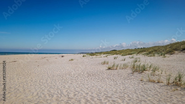 Obraz A beautiful, wide beach in Slowinski National Park in Leba, near the shifting sand dunes. Poland