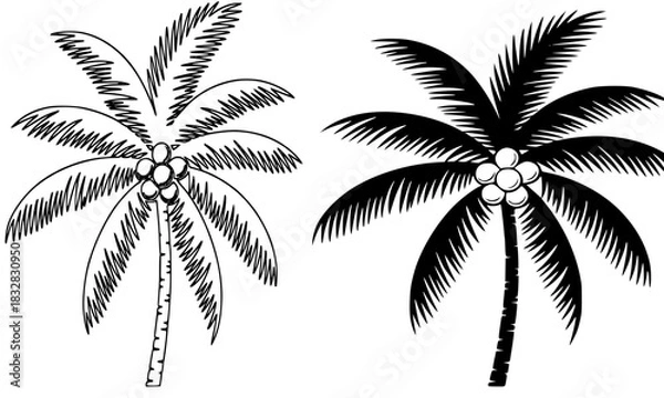 Fototapeta Vector illustration of a tropical palm tree with coconuts, presented in both detailed outline sketch and solid black silhouette styles, representing beach, travel, vacation, and summer concepts
