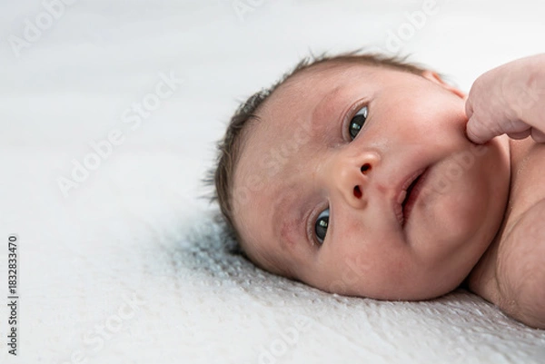 Fototapeta Newborn baby receiving gentle cheek touch