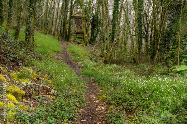 Fototapeta Bidegorri route in As Pontes de Garcia Rodriguez, A Coruña: a natural area for mountain biking, hiking, or spending an unforgettable day with the family near a unique artificial lake.