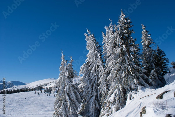 Obraz Winterwonderland