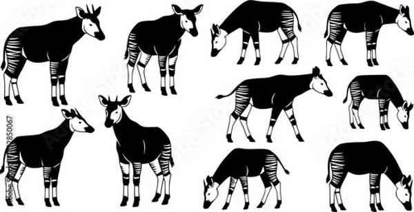 Fototapeta Okapi animal silhouettes, Okapi, Okapi silhouettes, Okapi animal, Okapi clipart, Okapi animal vector set