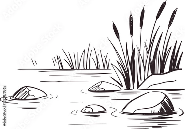 Fototapeta Black and white illustration of reeds and rocks in water