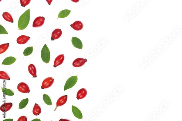 Obraz rosehip berries isolated on white background with copy space for your text. Flat lay pattern. Top view