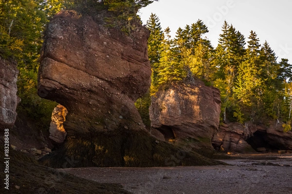Fototapeta Hopewell Rocks at Low Tide