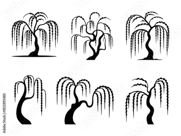 Obraz Isolated stylized weeping willow tree silhouette vector icon set