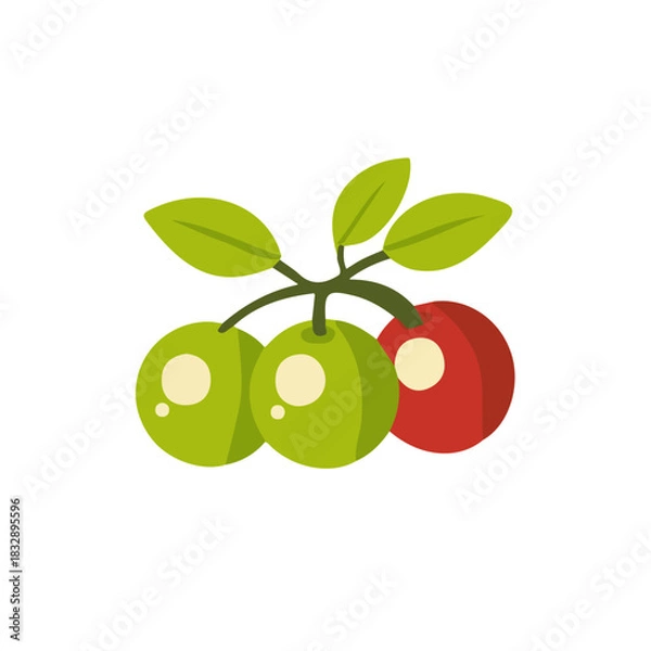 Fototapeta An Imaginary 2D flat icon olive, modern element in vector and EPS format_clean vector_isolated on a white background, An Icon clipart set