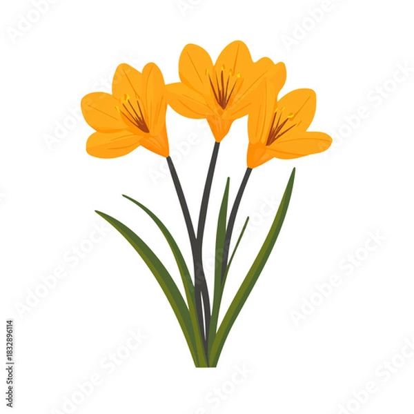 Fototapeta modern element in vector and EPS format_clean vector_isolated on a white background, An Icon clipart set, An Imaginary 2D flat icon saffron flowers