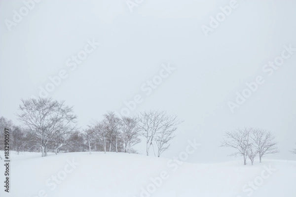 Obraz Bare trees on snowy winter hillside landscape