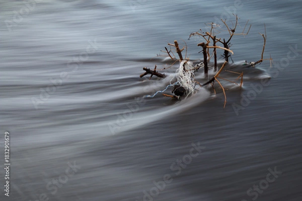Obraz Sea water flowing through twigs and plastic string