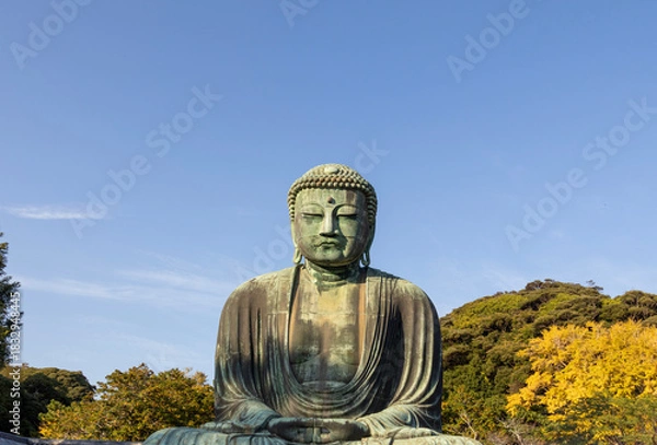 Fototapeta Great Buddha of Kamakura against a clear blue sky, capturing the serene expression of the iconic Daibutsu statue
