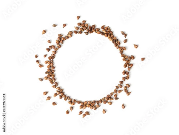 Fototapeta Grape seeds ready for oil extraction