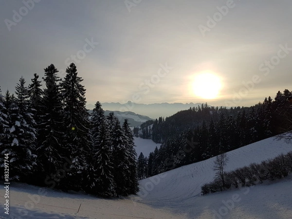 Obraz Winter Landschaft