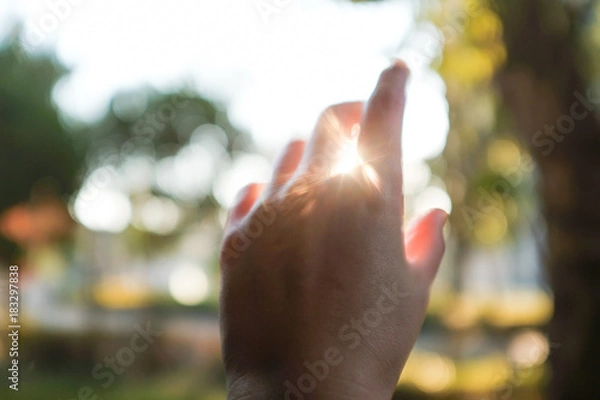 Obraz 太陽にかざす手