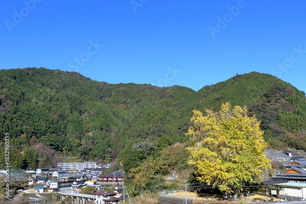 Obraz 長者地区を静かに見守る大銀杏　秋麗　（高知県　仁淀川町）