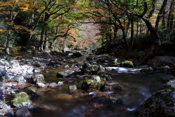 Obraz 小田深山渓谷　秋の川　（愛媛県　内子町）
