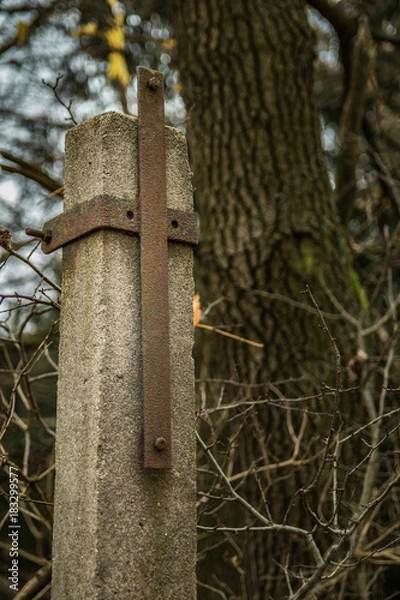 Fototapeta Kreuz im Wald