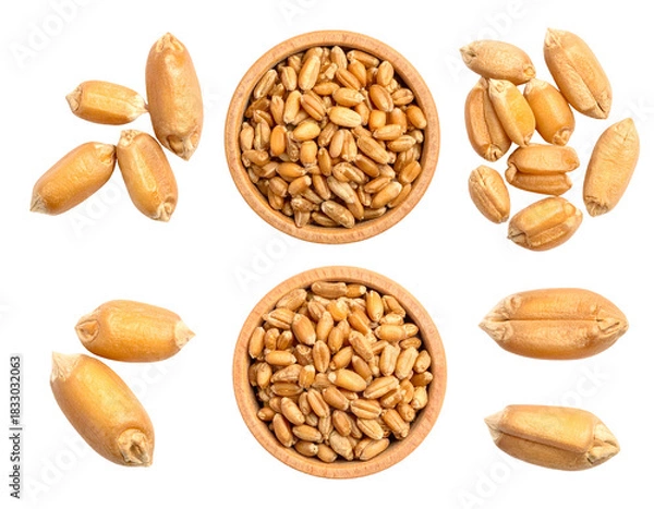 Obraz Golden wheat grains in bowls and piles against a dark background