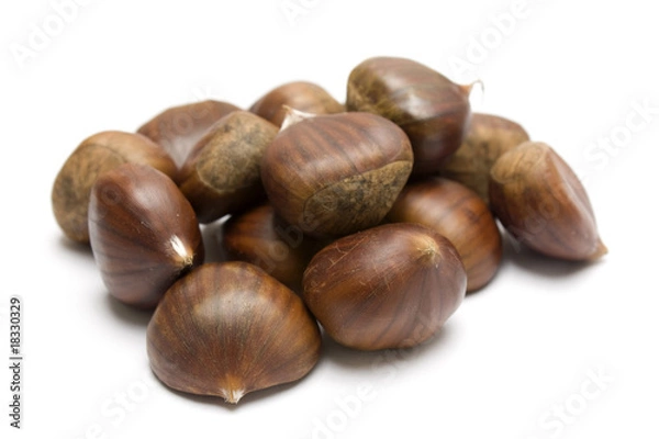 Fototapeta isolated brown chestnuts with a white background