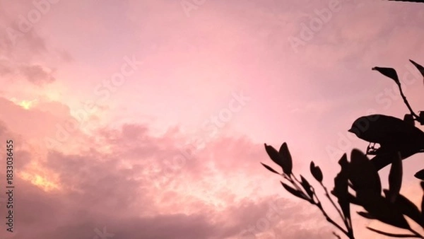 Fototapeta nice cloud photos as backgrounds, design elements