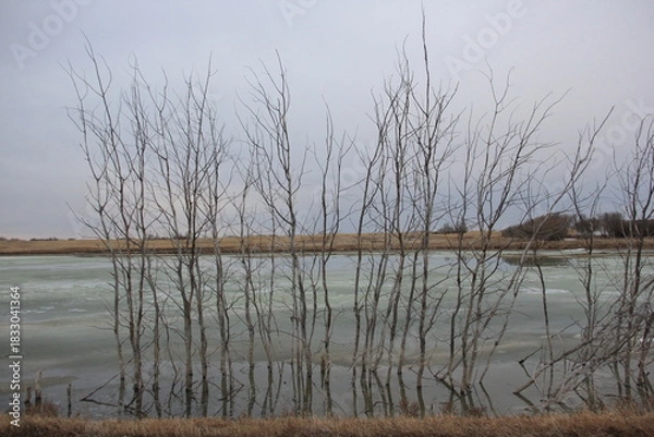 Fototapeta Some horses in the spring and other things in the pastures around the valley.