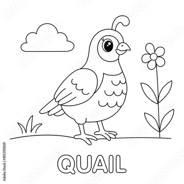 Obraz Cute Cartoon Quail Coloring Page