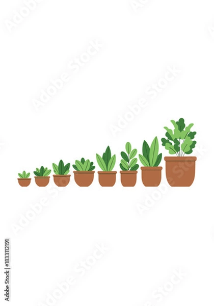 Obraz Row of potted houseplants arranged from smallest to largest in terracotta pots showcasing growth and balance along a clean white background.
