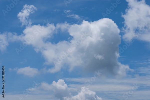 Fototapeta A fluffy white cloud appears to resemble the shape of a snail, with its rounded body and extended form standing out against the bright blue sky