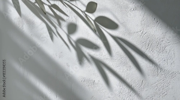 Obraz A monochrome shadow of plant foliage creates an abstract pattern on a textured white wall,