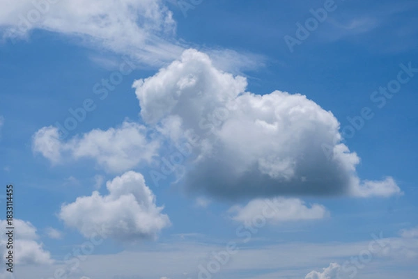 Fototapeta A large, fluffy white cloud appears to resemble the shape of a capybara, floating gently against a bright blue sky