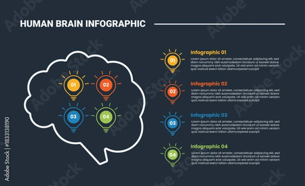 Fototapeta Human Brain anatomy infographic process diagram with lightbulb creative idea inside brain and stacked list information with dark background bright outline style 4 points