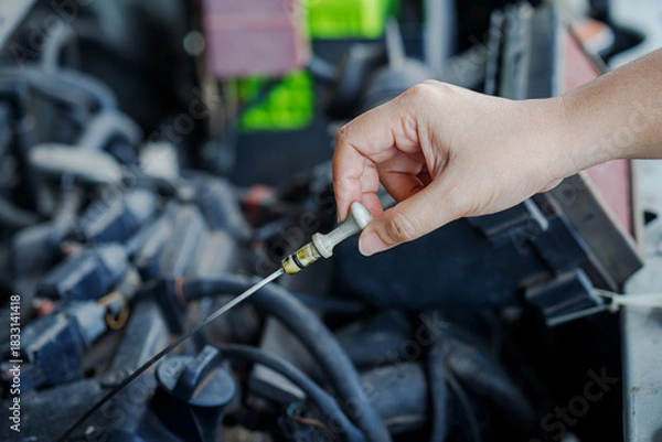 Fototapeta Mechanic Hand Checking Engine Oil Level