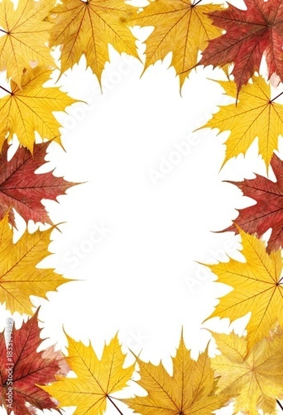 Obraz Frame border of yellow maple leaves and red oak leaves isolated on white background