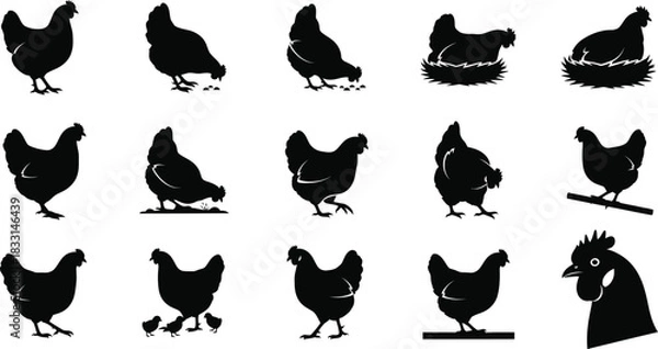 Obraz Collection of black chicken silhouettes with distressed texture on white background