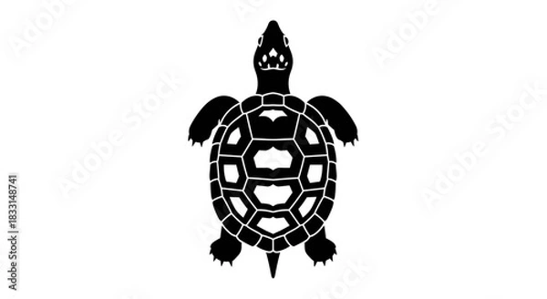 Obraz Black and White Turtle Illustration with Detailed Shell Pattern 1.