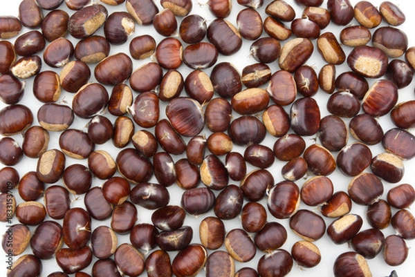 Obraz Sweet Chestnuts on white background
