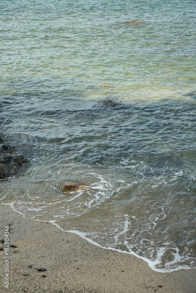 Obraz 海岸に打ち寄せる波